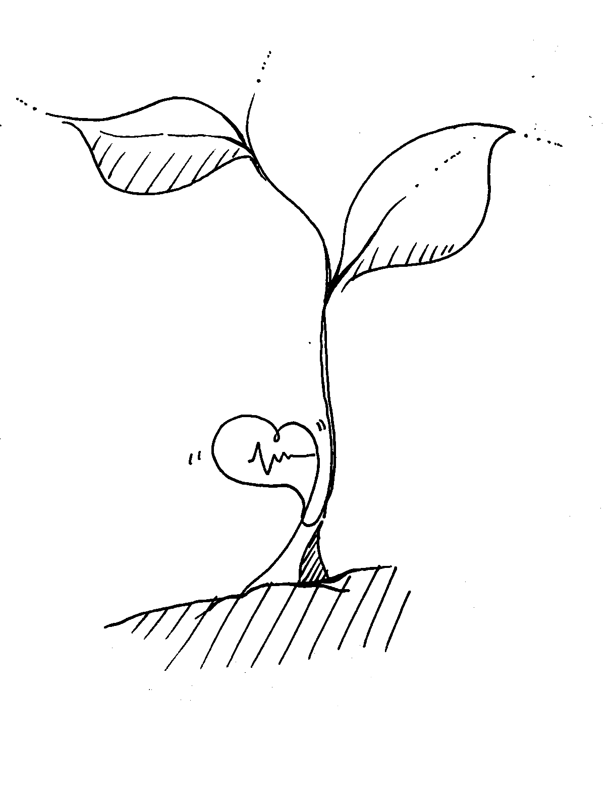 Pulse, conceptual drawing