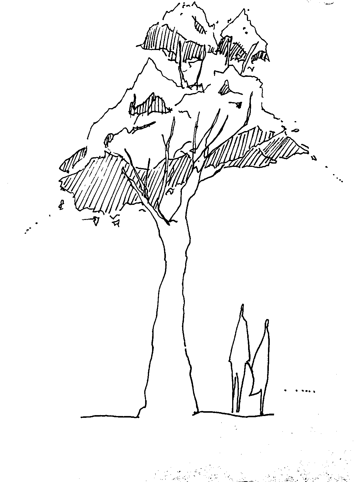 Passage, conceptual drawing
