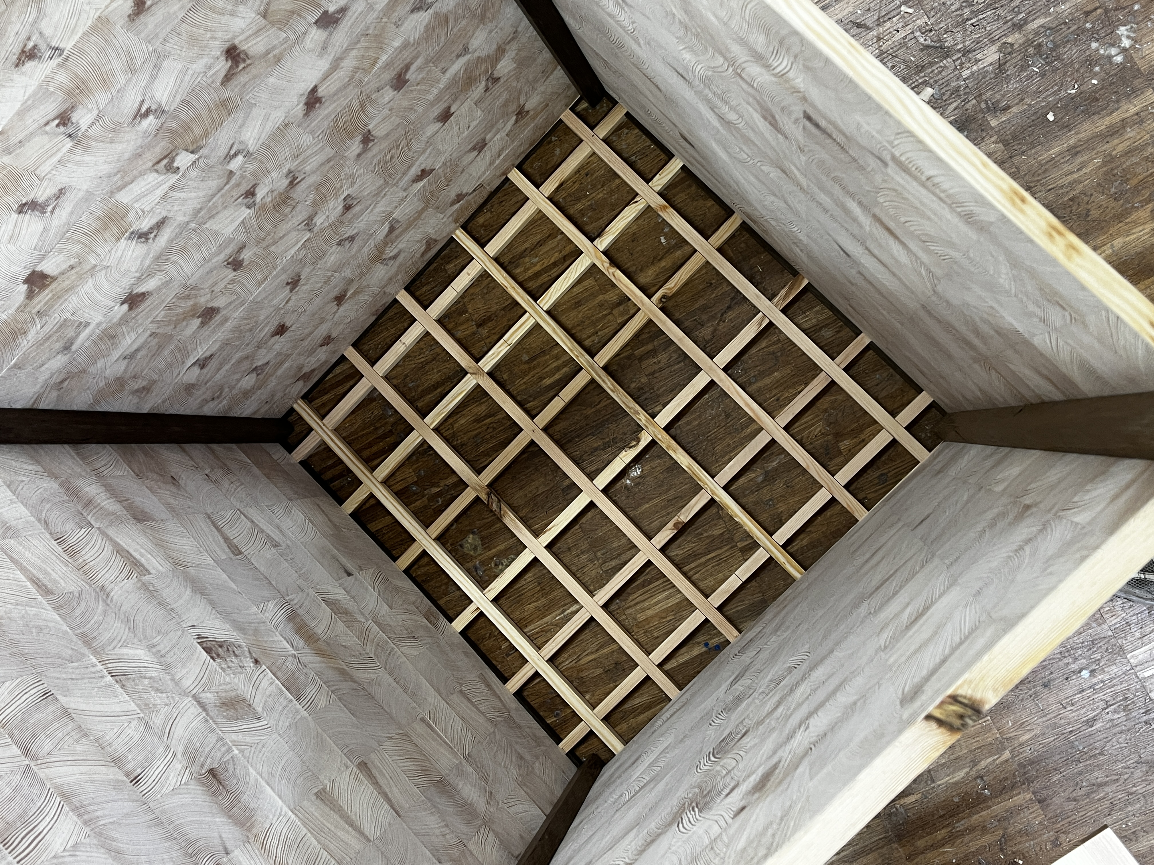 Interior view through the GROWTH lamp showing growth-ring panels and lattice