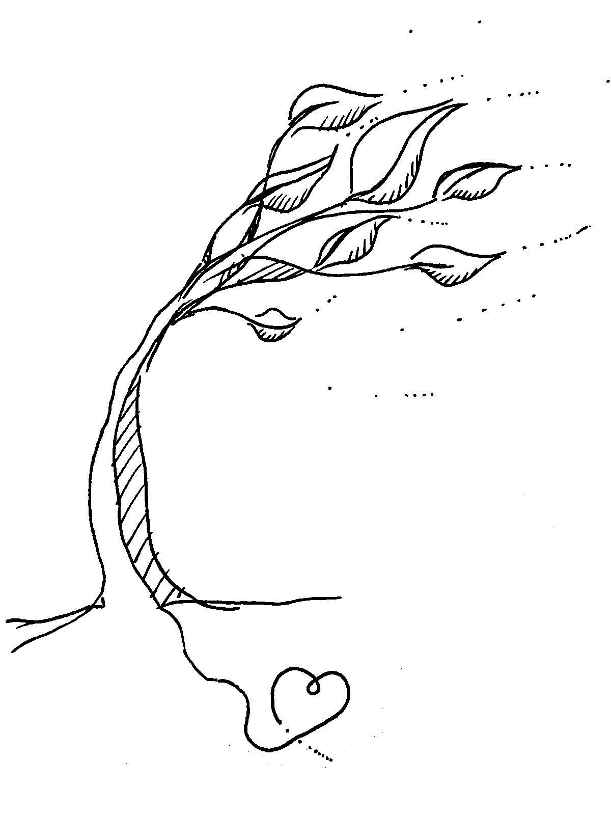 Rift, conceptual drawing